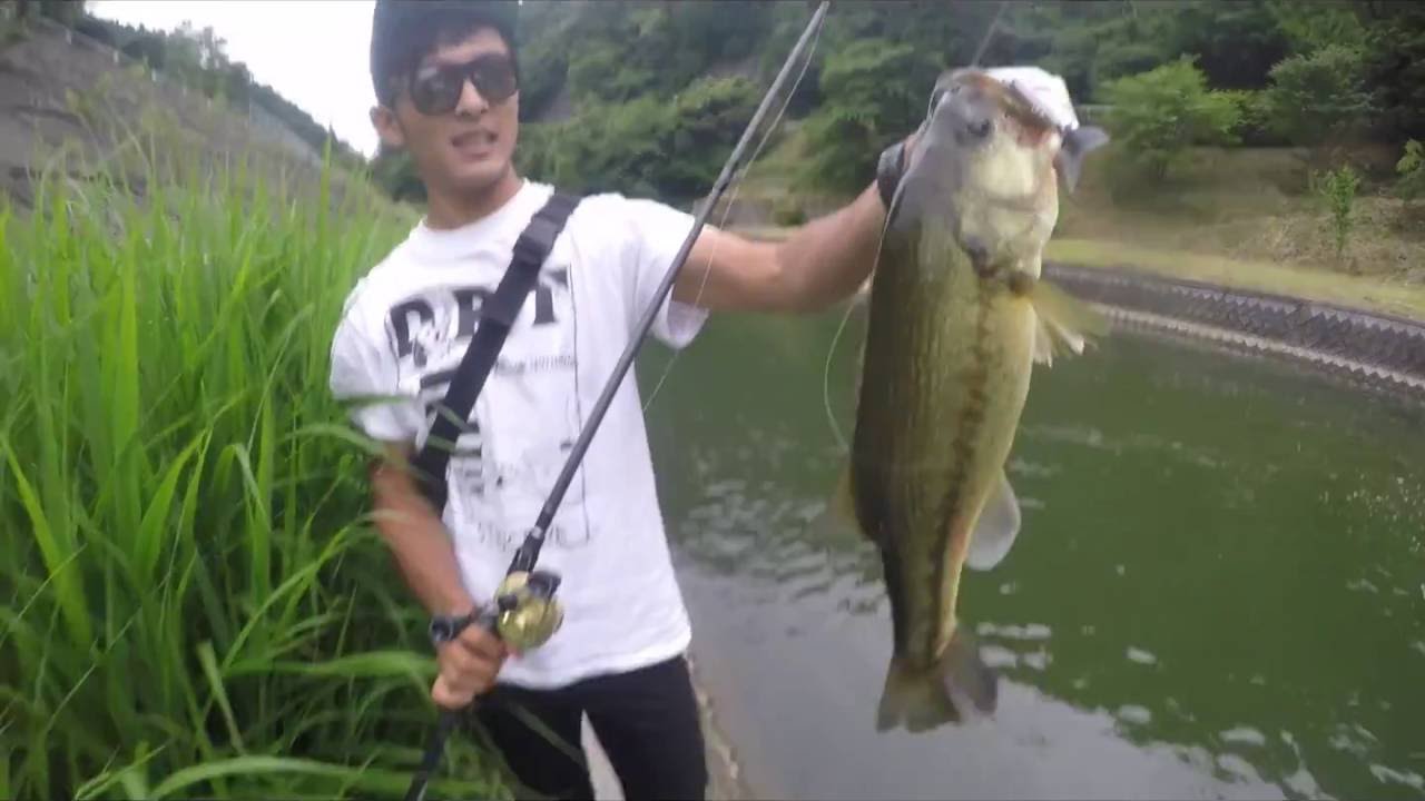 BankFishing is LifeStyle