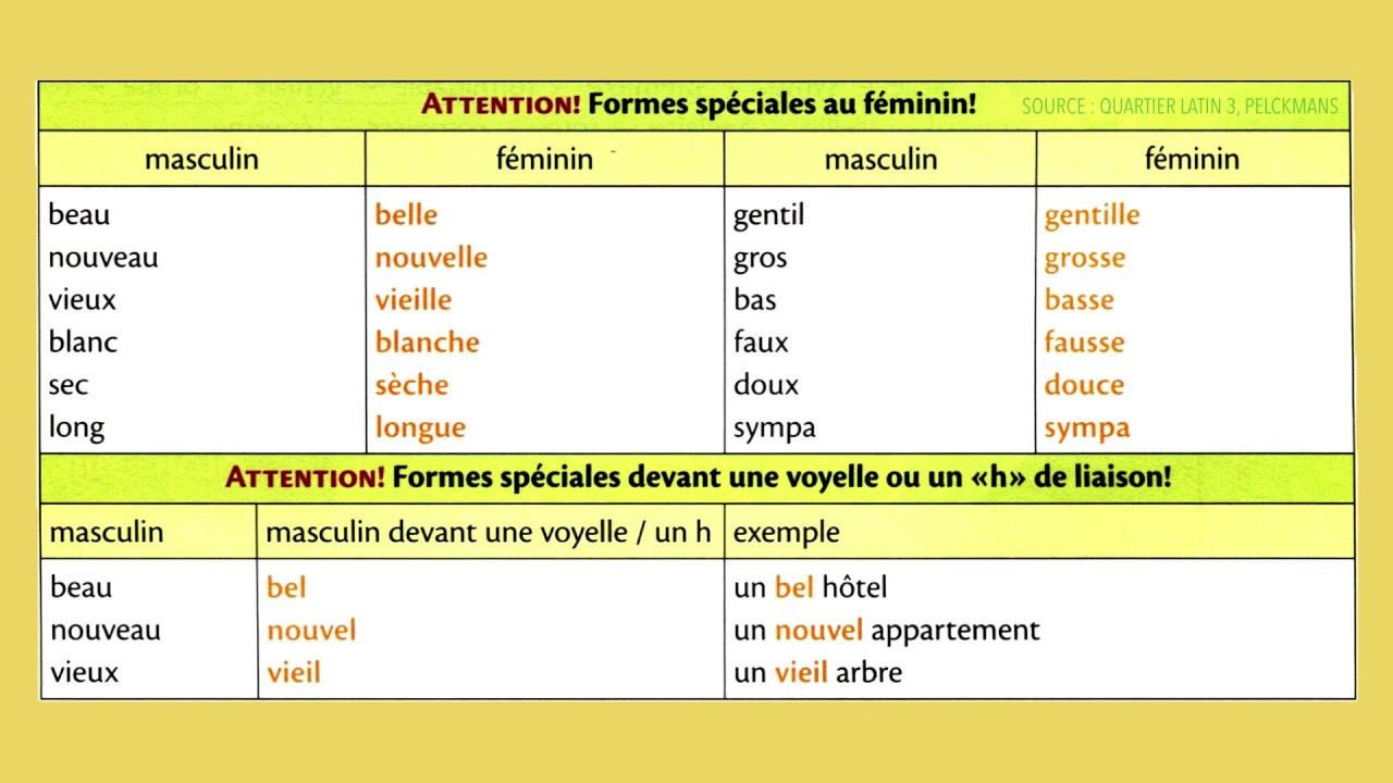 Masculin, féminin, singulier, pluriel - Grammaire française