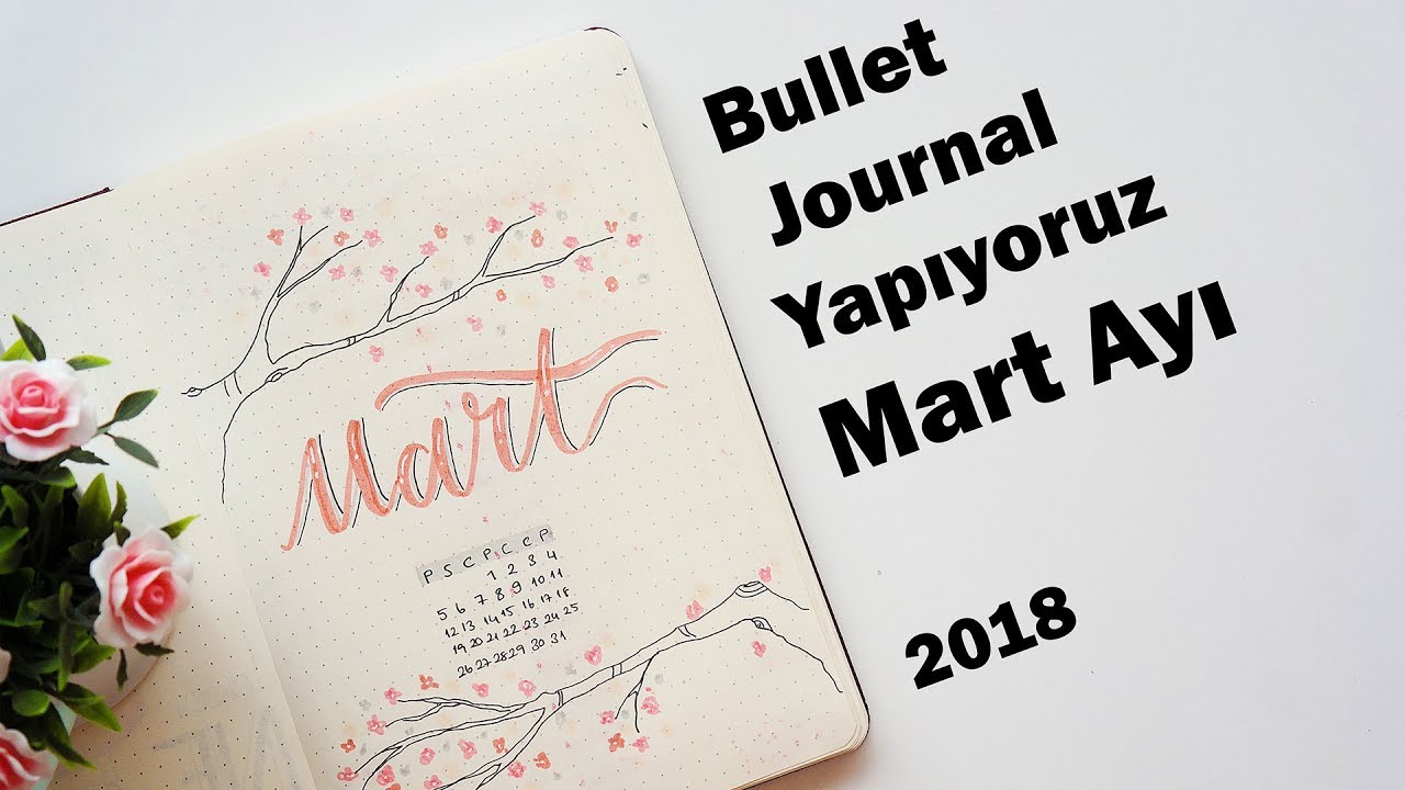 Bullet Journal Yapıyoruz | Mart Ayı 2018 Videosu (Tüm Sayfalar) -elifilehersey