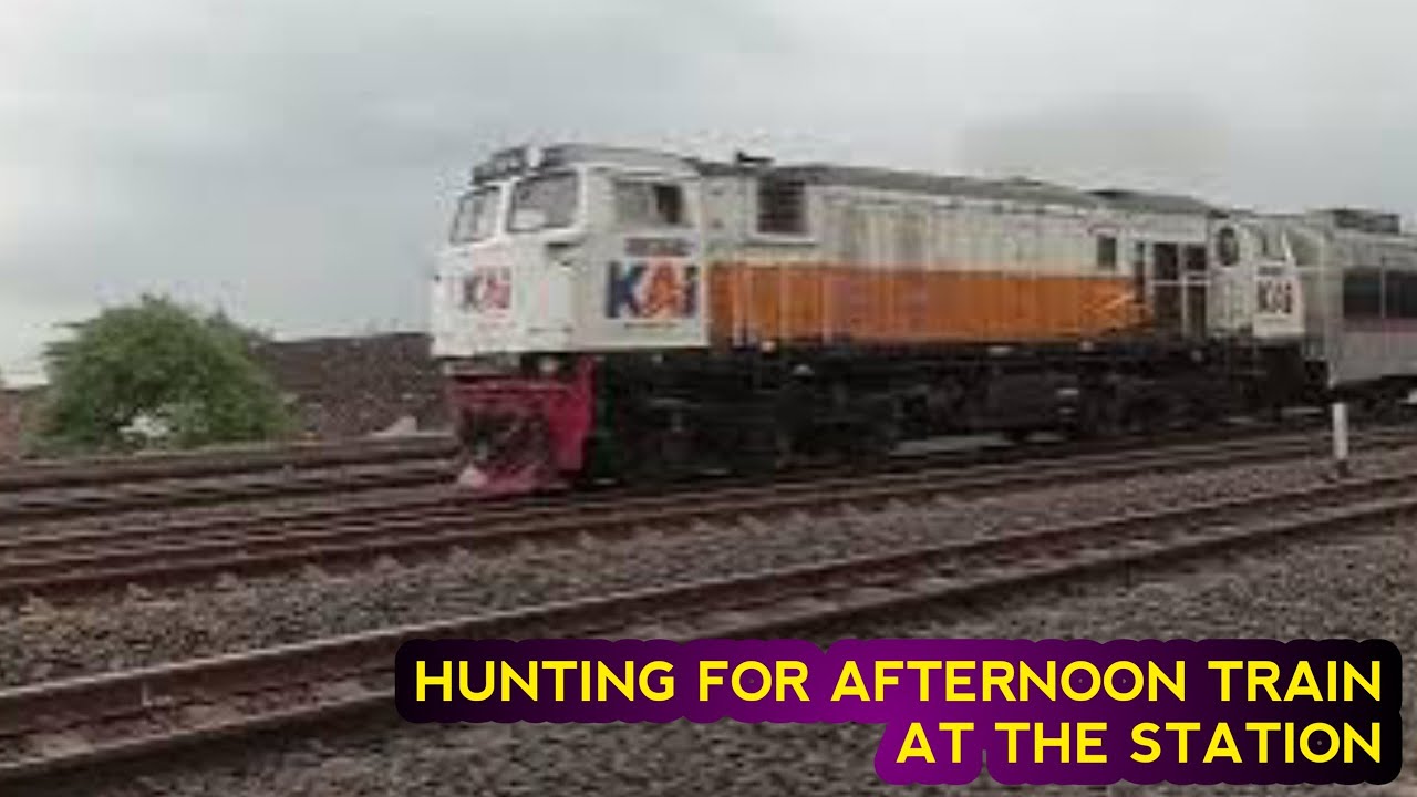 HUNTING FOR AFTERNOON TRAIN AT THE STATION