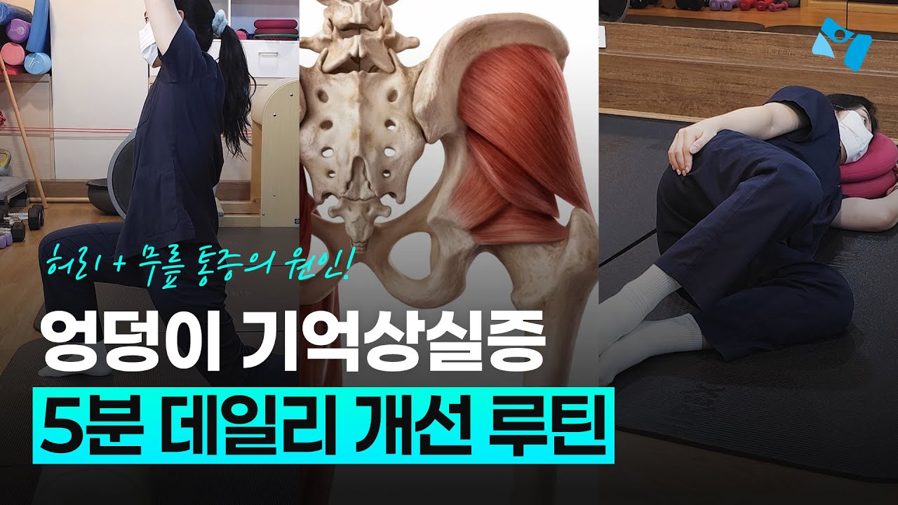 원인 모를 허리, 무릎 통증! 엉덩이 기억상실증 개선 운동