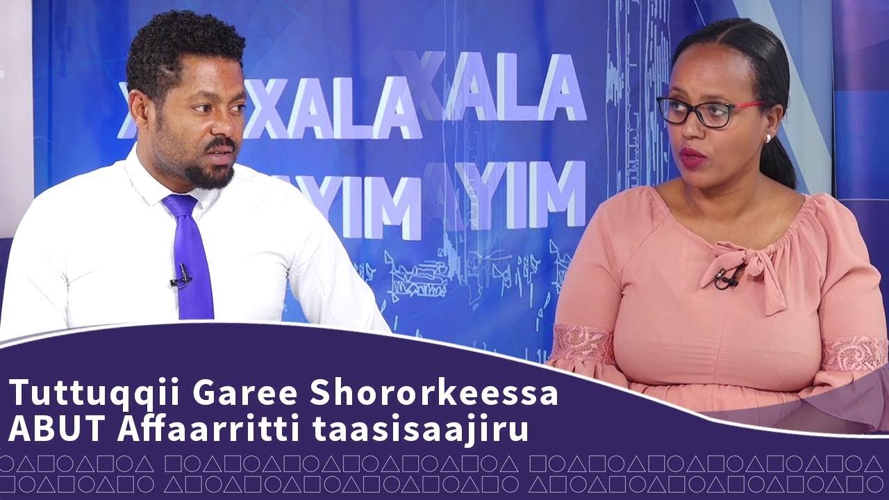 Tuttuqqii Garee Shororkeessa  ABUT Affaarritti taasisaa jiru