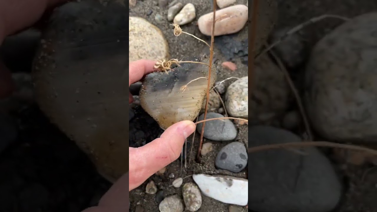 We Found An INCREDIBLE Waterline AGATE 💎💎💎