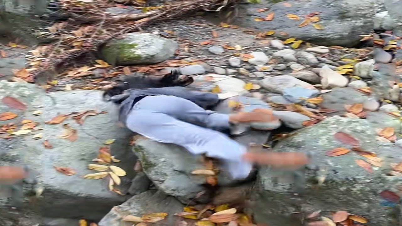 猝不及防的搞笑瞬间 #73 你能忍到第几个