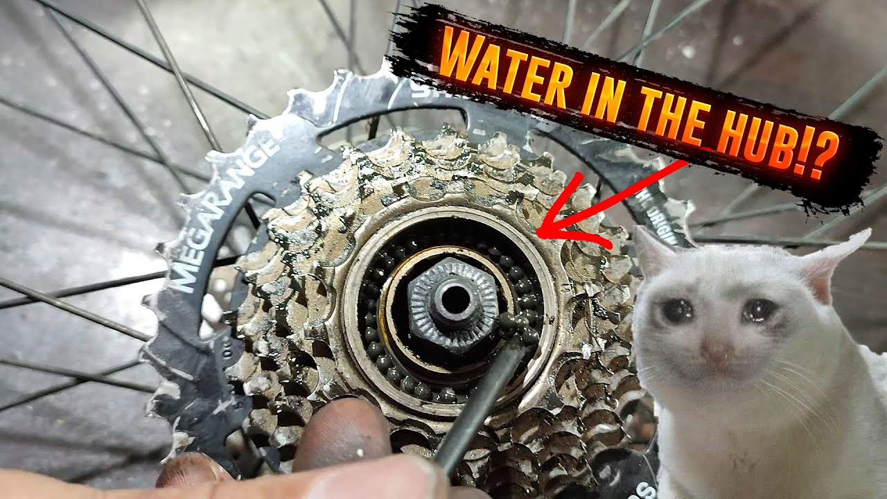 What happens when you wash your bike | Bicycle rear hub noise , clicking sound
