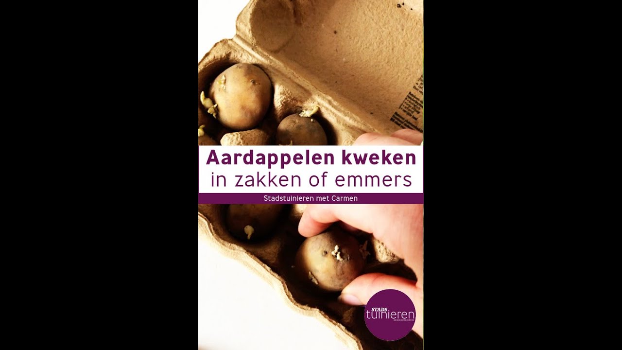 Stadstuinieren - Aardappelen kweken in pot #moestuin