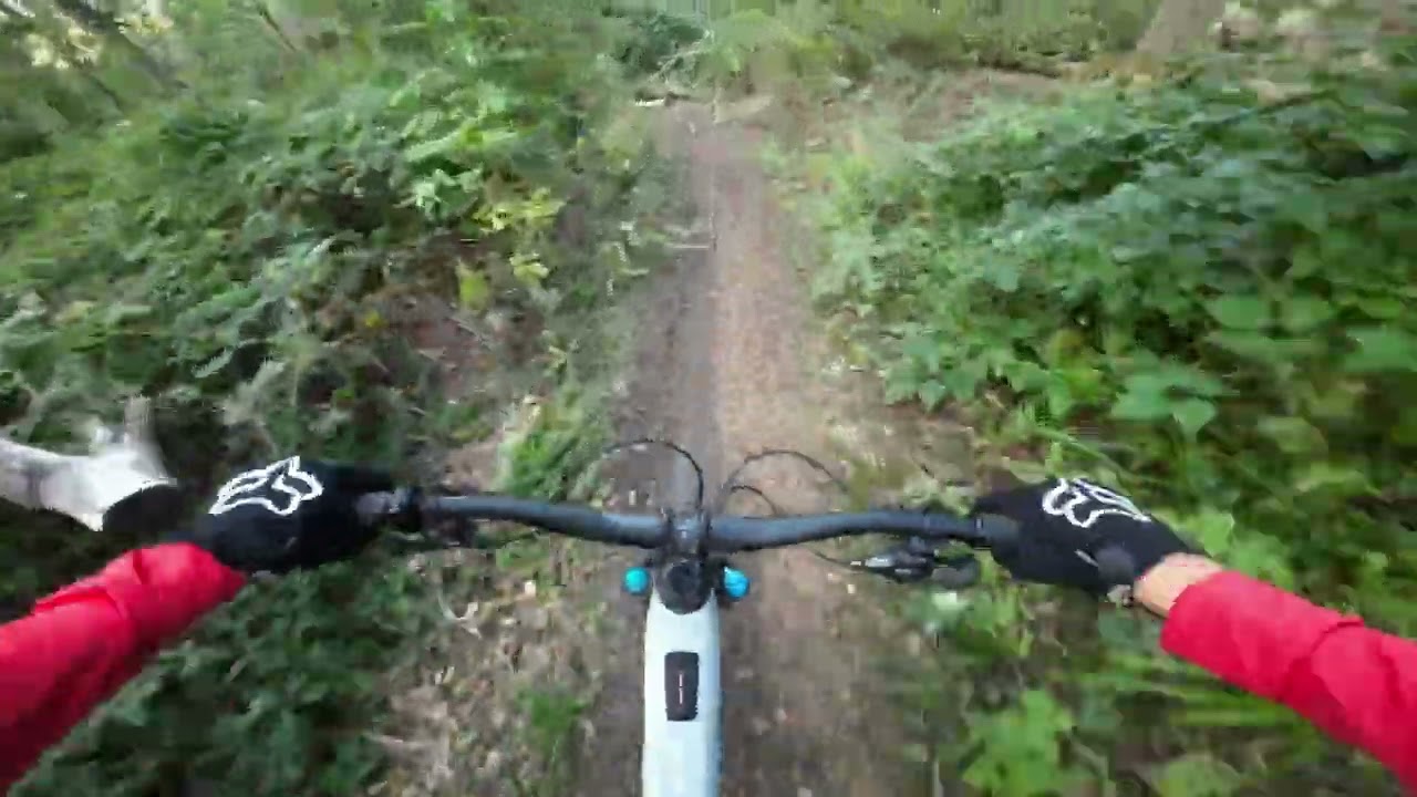Recovery Ride on my Focus Jam2 SL