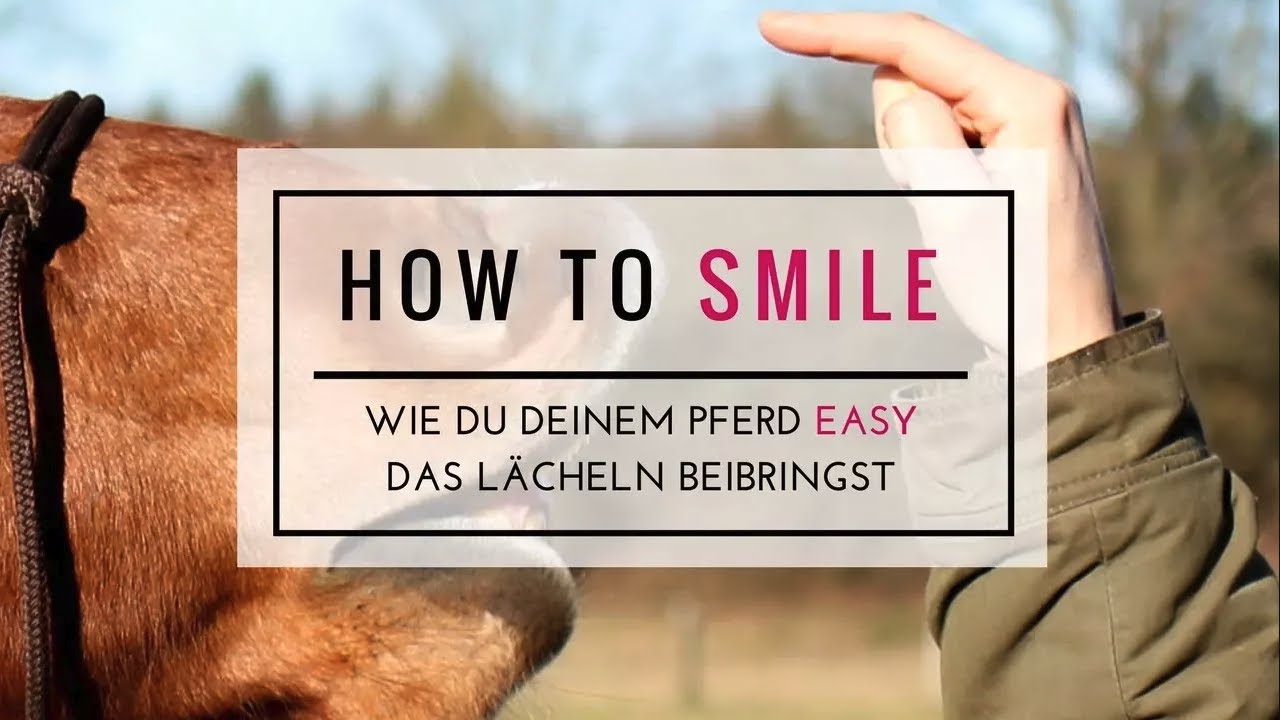 Wie du deinem Pferd das L&auml;cheln beibringst