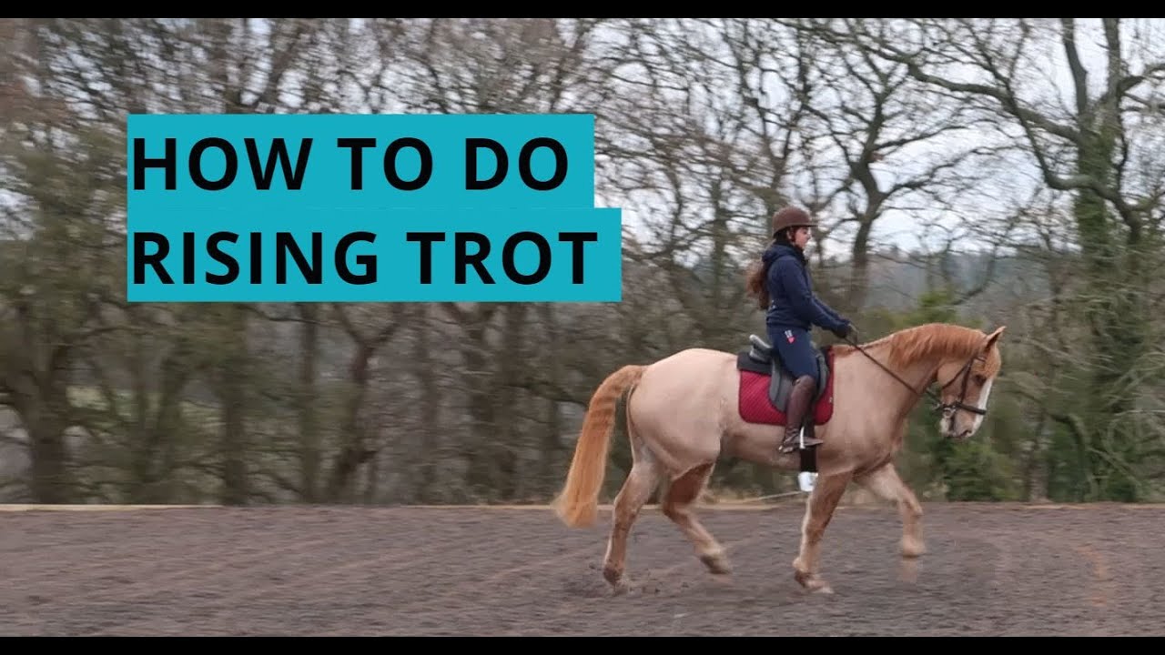 HOW TO DO RISING TROT