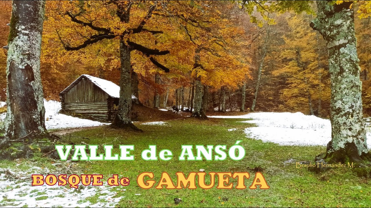 Otoño en el Valle de Ansó. Paseo bajo la lluvia  por el Bosque de Gamueta desde el Refugio de Linza