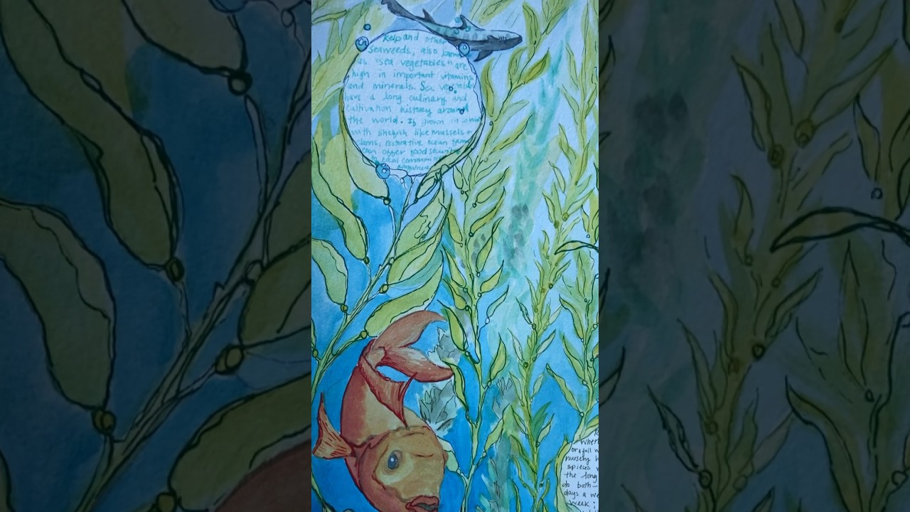 Visualizing the benefits of restorative ocean farming  