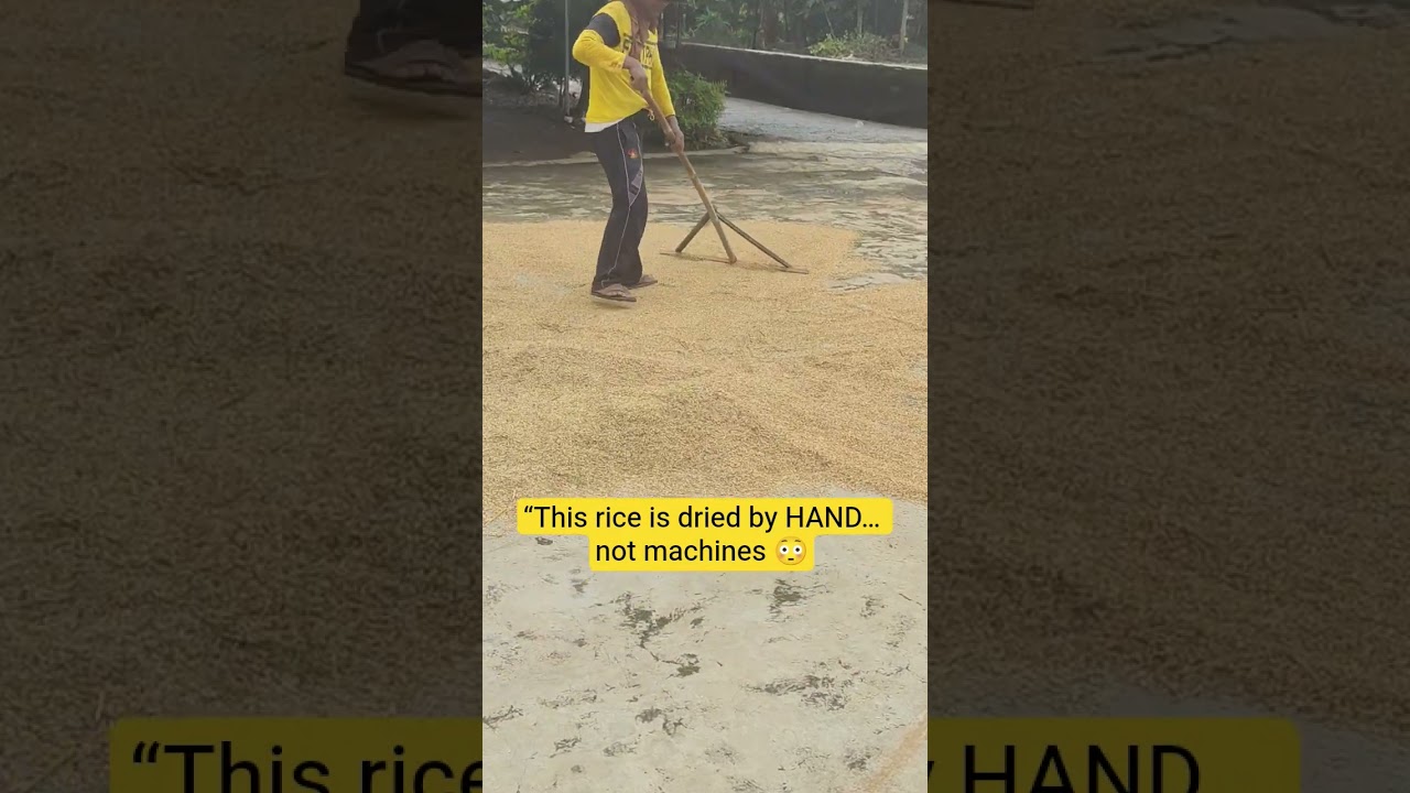 “This rice is dried by HAND… not machines 😳 