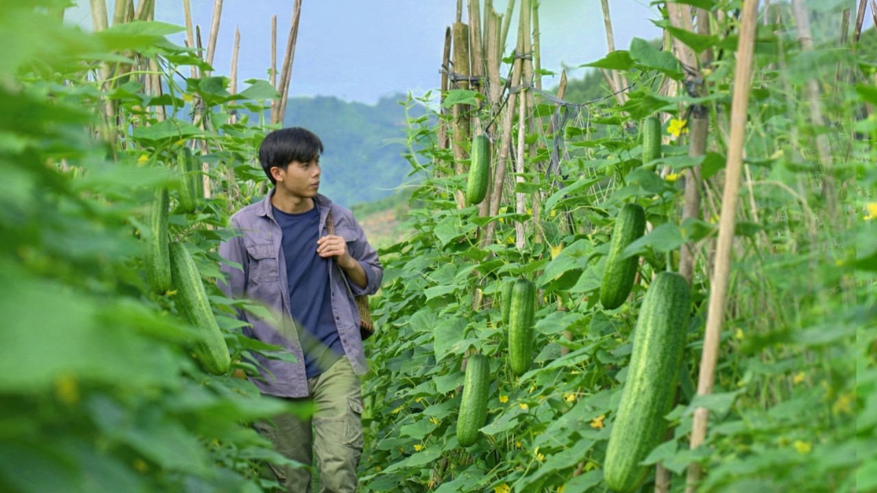 Abundant Harvest Days in a Small Village | Harvesting and Preparing Fresh Fruits and Vegetables