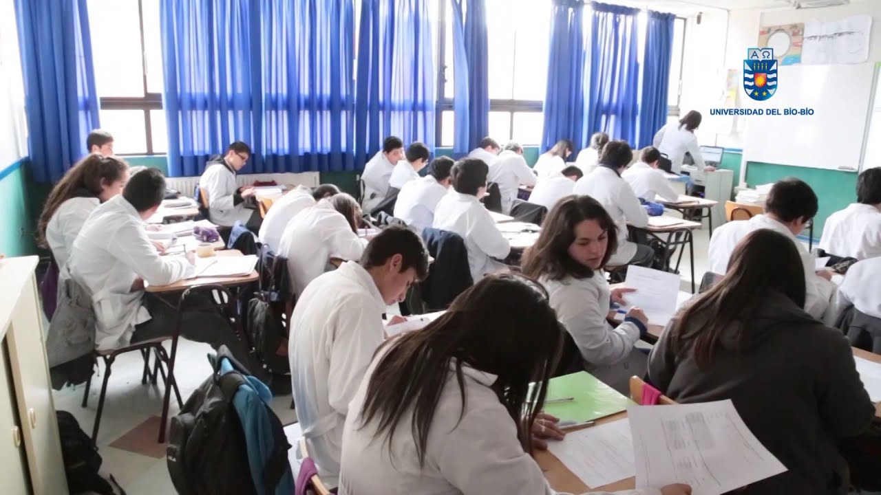 Colegio Los Acacios