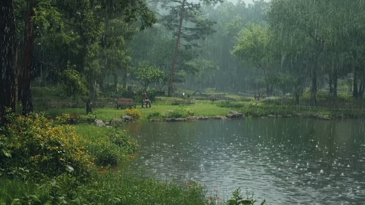 The beautiful little river is raining , sleep, relax, meditate, ASMR, Real Shot