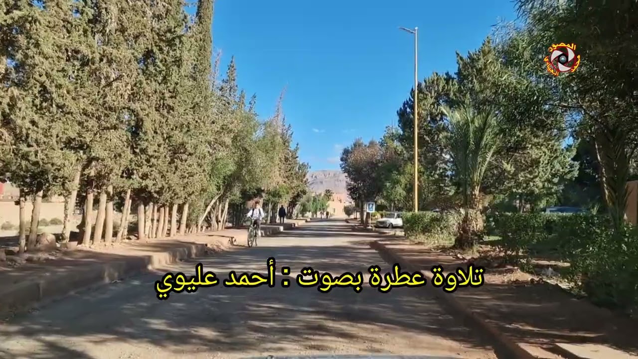 تلاوة عطرة بصوت أحمد عليوي