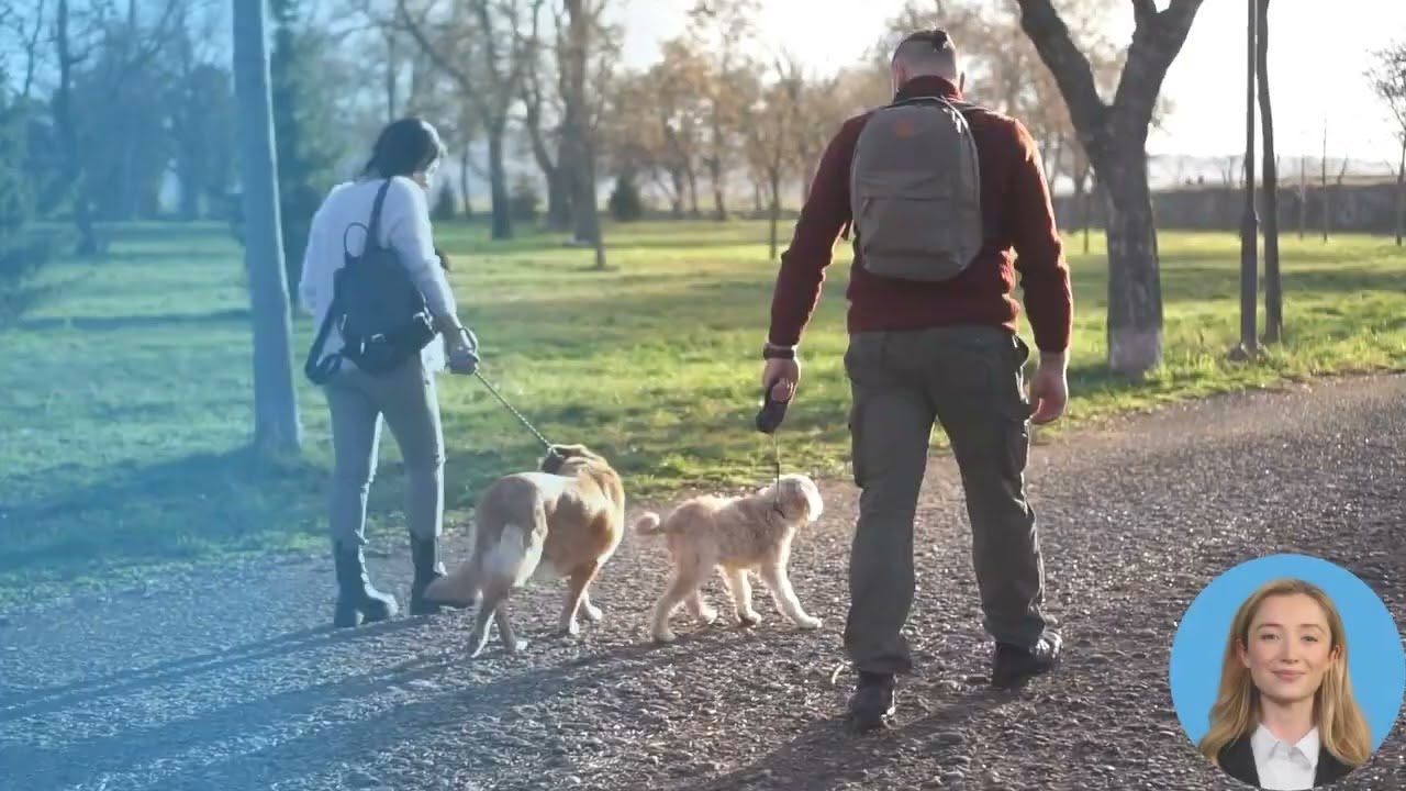 Pet Insurance Deductibles