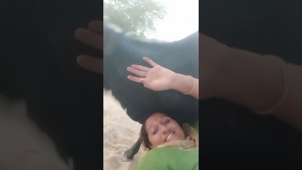 छोटी बछीयों की हरकतें
