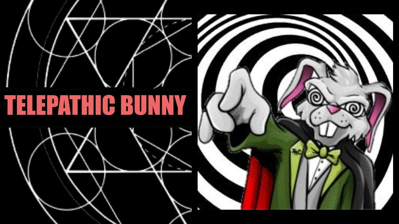 Art Talk w/ Telepathic Bunny