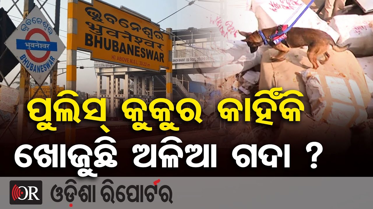 ଭୁବନେଶ୍ୱର ଷ୍ଟେସନରେ ପୁଲିସ୍ କୁକୁର କାହିଁକି ଖୋଜୁଛି ଅଳିଆ ଗଦା ?| Odisha Reporter