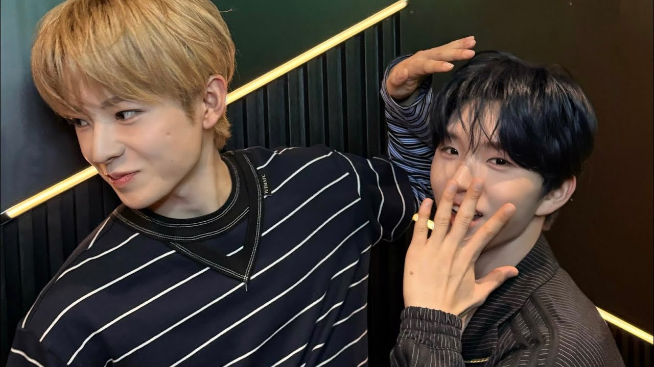 농락잼
