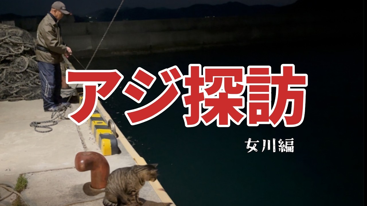 【遠征編】アジ？ングしたくて女川へ