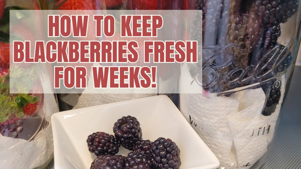How To Keep Blackberries Fresh for Weeks!