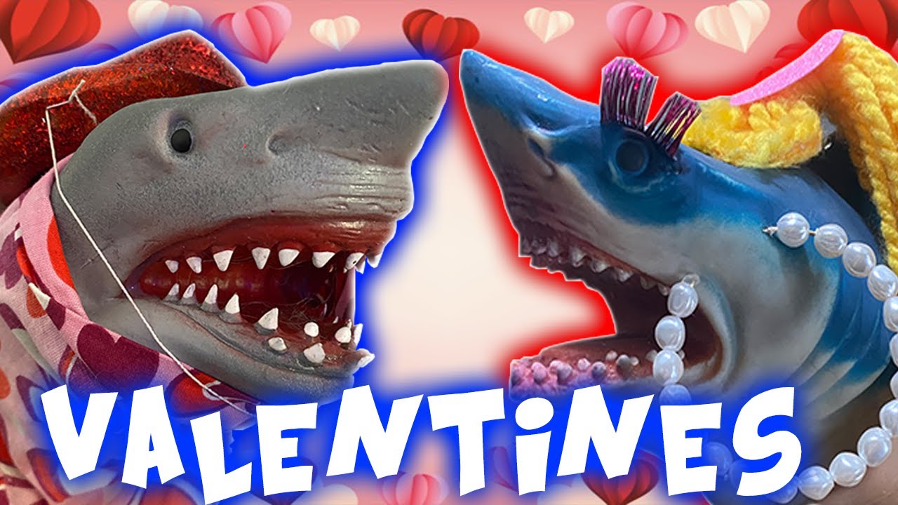 SHARK PUPPETS VALENTINES DAY HEARTBREAK!!!!!