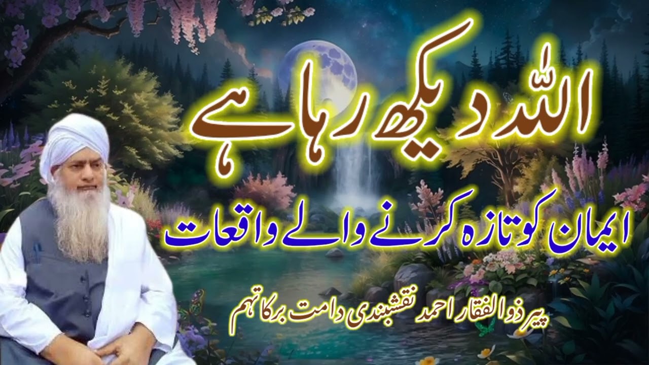 Allah Dekh Raha He | اللہ دیکھ رہا ہے | Peer Zulfiqar Naqshbandi DB | Imaan Taza Karne Wale Waqiat