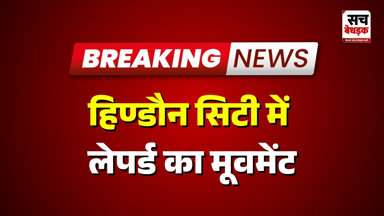Hindaun : हिण्डौन सिटी में लेपर्ड का मूवमेंट | Rajasthan news | Sach Bedhadak