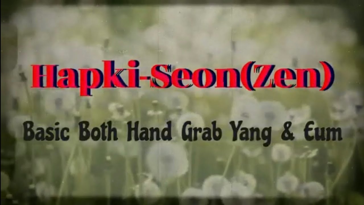 Hapki-Seon(Zen) Everyday training Video