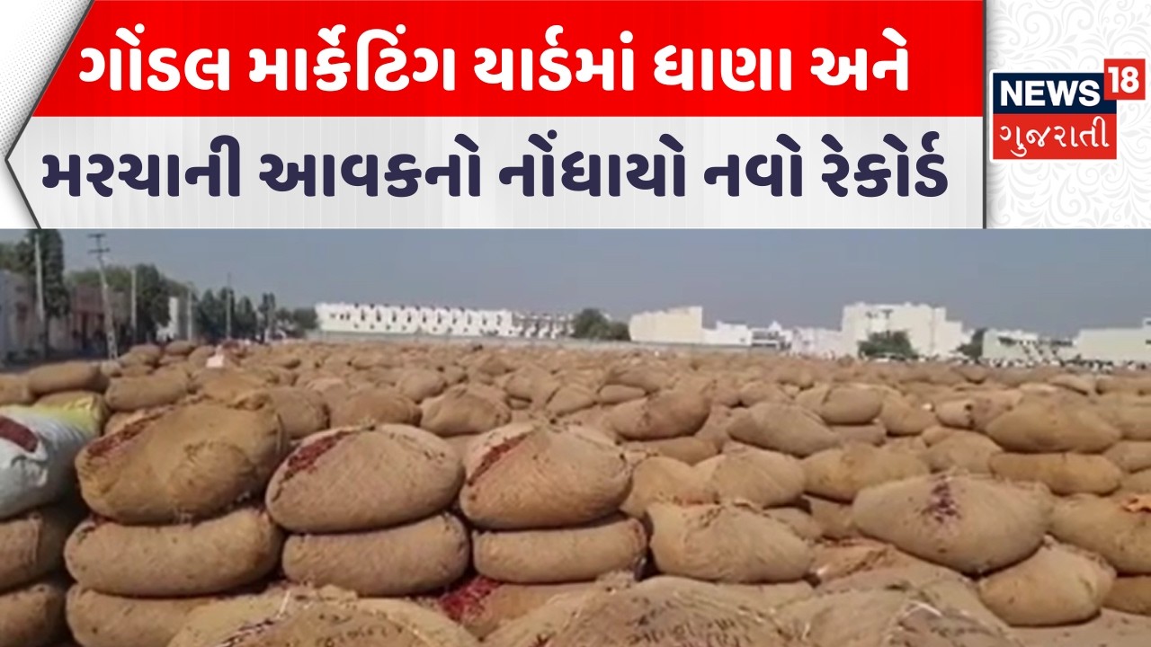 Rajkot Market Yard News |ગોંડલ માર્કેટિંગ યાર્ડમાં ધાણા અને મરચાની આવકનો નોંધાયો નવો રેકોર્ડ |News18