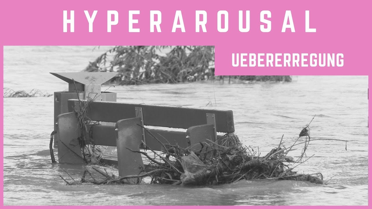 [k] PTBS・Hyperarousal - &uuml;bererregtes Nervensystem I Window of Tolerance