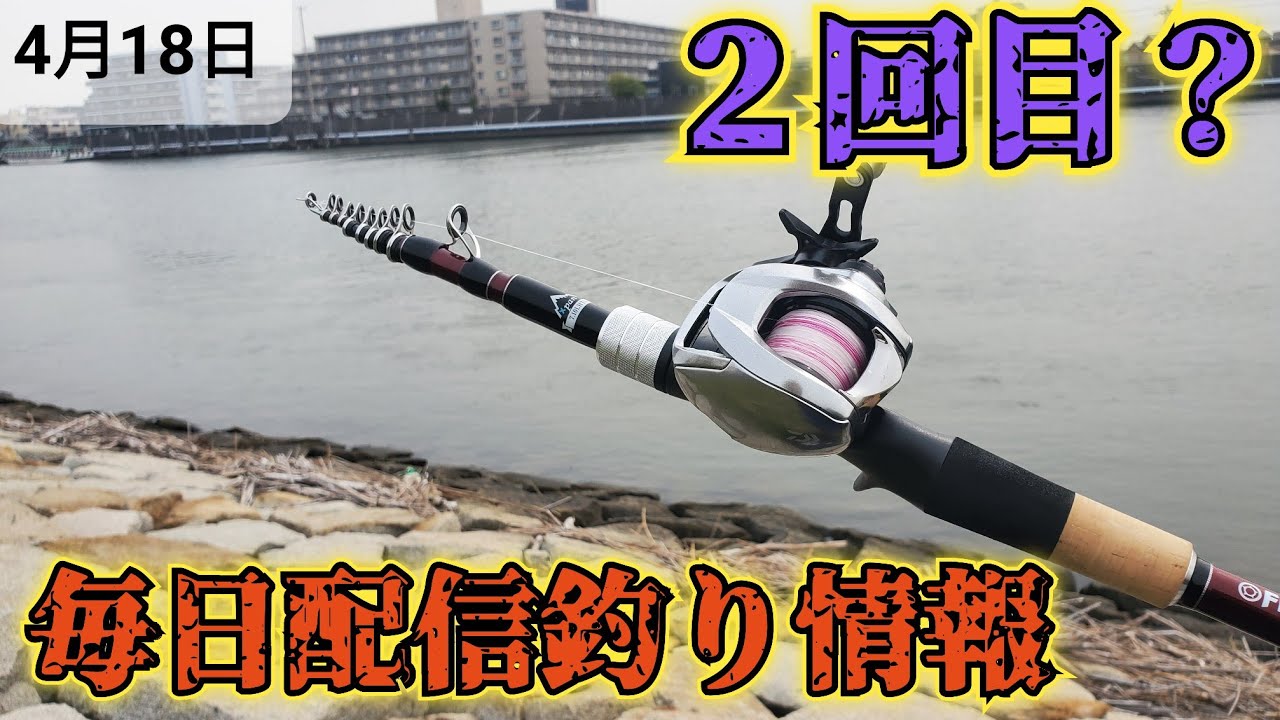 【fishman】テレスコのベイトロッド Beams Xpan7.10LHTS 【毎日配信シーバス情報】