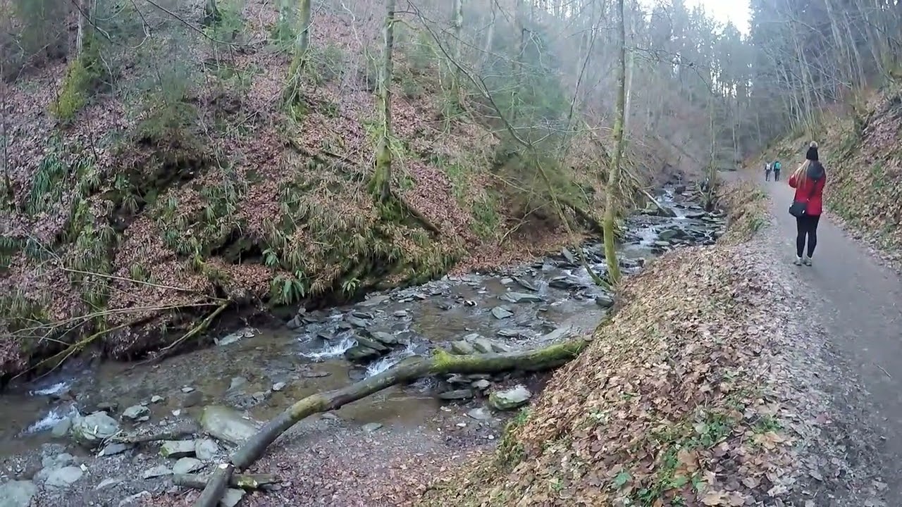 Schluchten  und Br&uuml;ckenpfad bei Winterberg