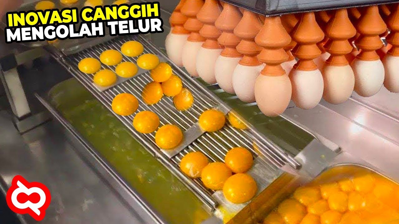 MEMANJAKAN MATA! Ternyata Begini Cara Kerja Mesin Pengolah Makanan Otomatis yang Menakjubkan