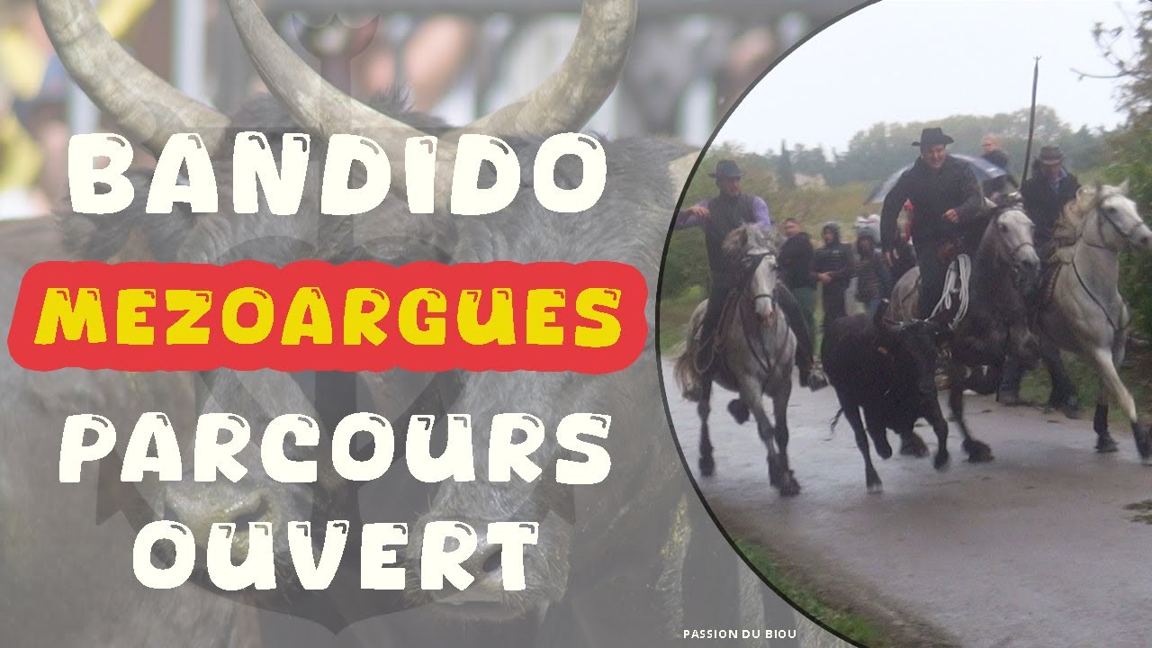 MEZOARGUES Bandido Parcours Ouvert 12-10-2024 🌧️
