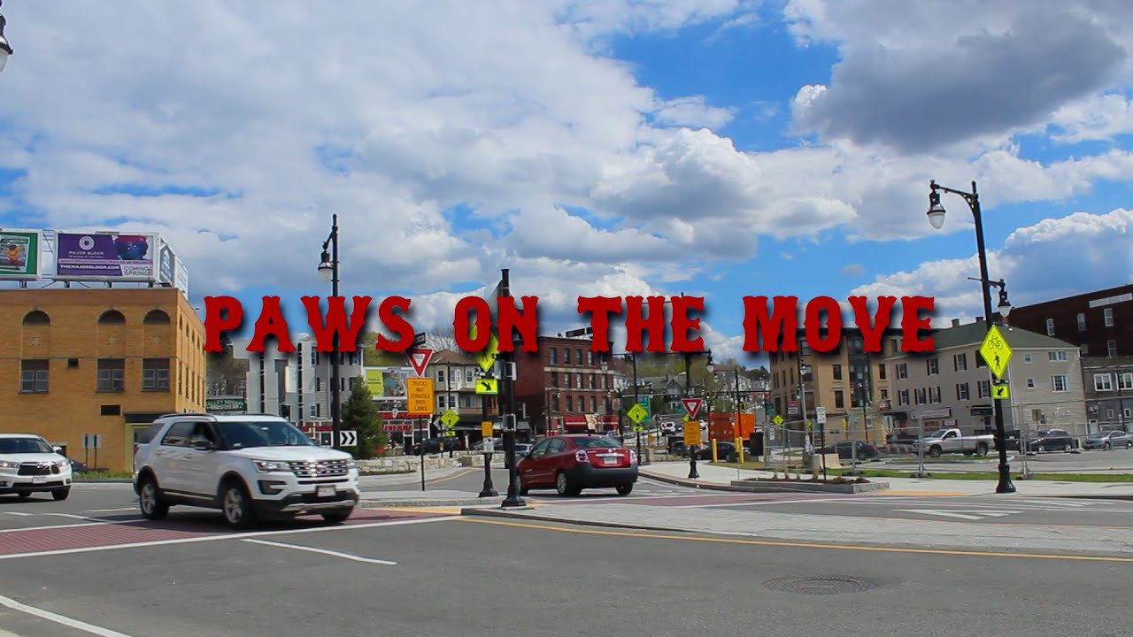 Paws on the Move: From Pawtucket to Worcester