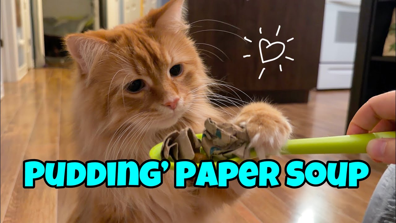 Pudding's Paper Soup - A Dinner Disaster 🍜