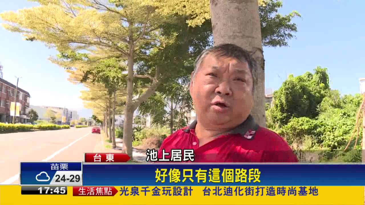 疑氣候異常 小葉欖仁樹提早前3月變黃－民視新聞