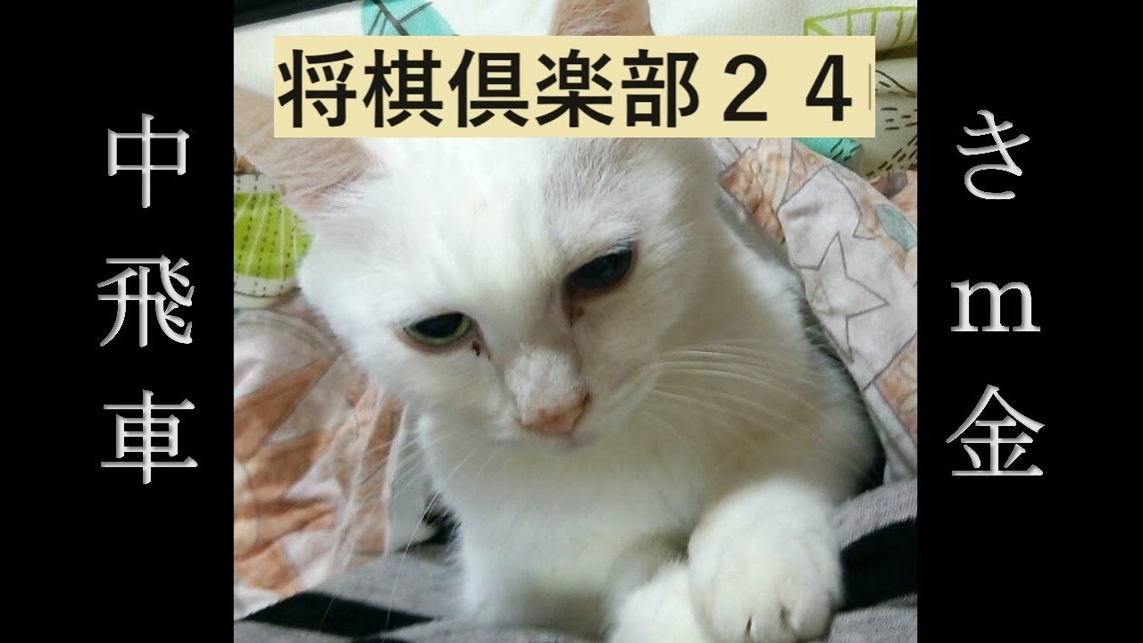 将棋　81道場 第210+1局目