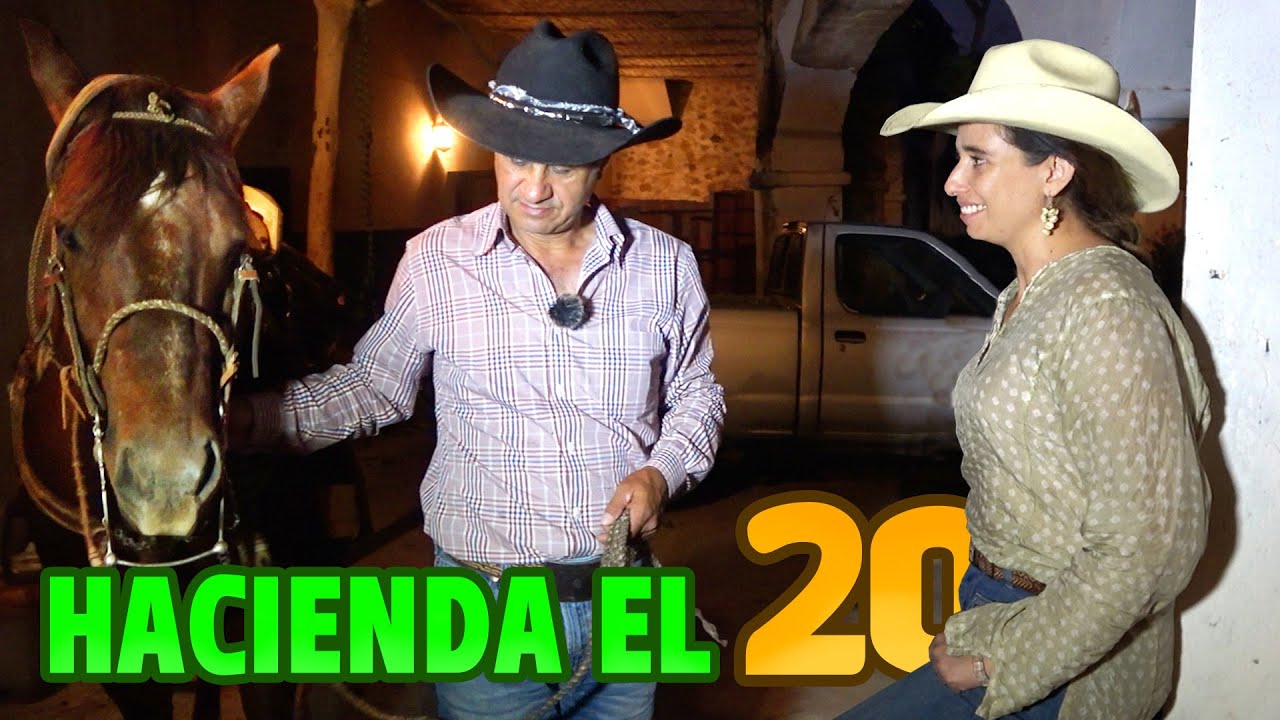 Me lo TRAJE A VIVIR a la HACIENDA cuando MIRE como AMANSABA un CABALLO BRONCO en un Ratito