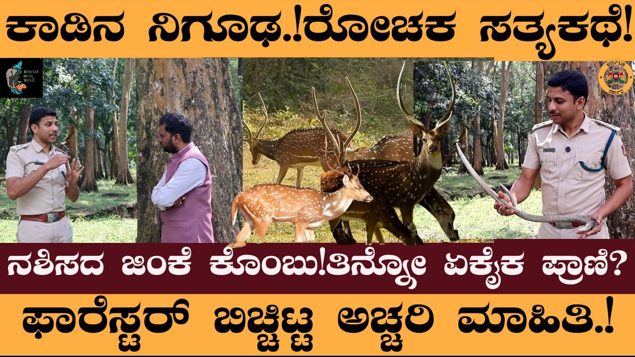ಕಾಡಿನ ನಿಗೂಢ.!ರೋಚಕ ಸತ್ಯಕಥೆ! ನಶಿಸದ ಜಿಂಕೆ ಕೊಂಬು!ತಿನ್ನೋ ಏಕೈಕ ಪ್ರಾಣಿ? #NaveenRawath #Nagarahole