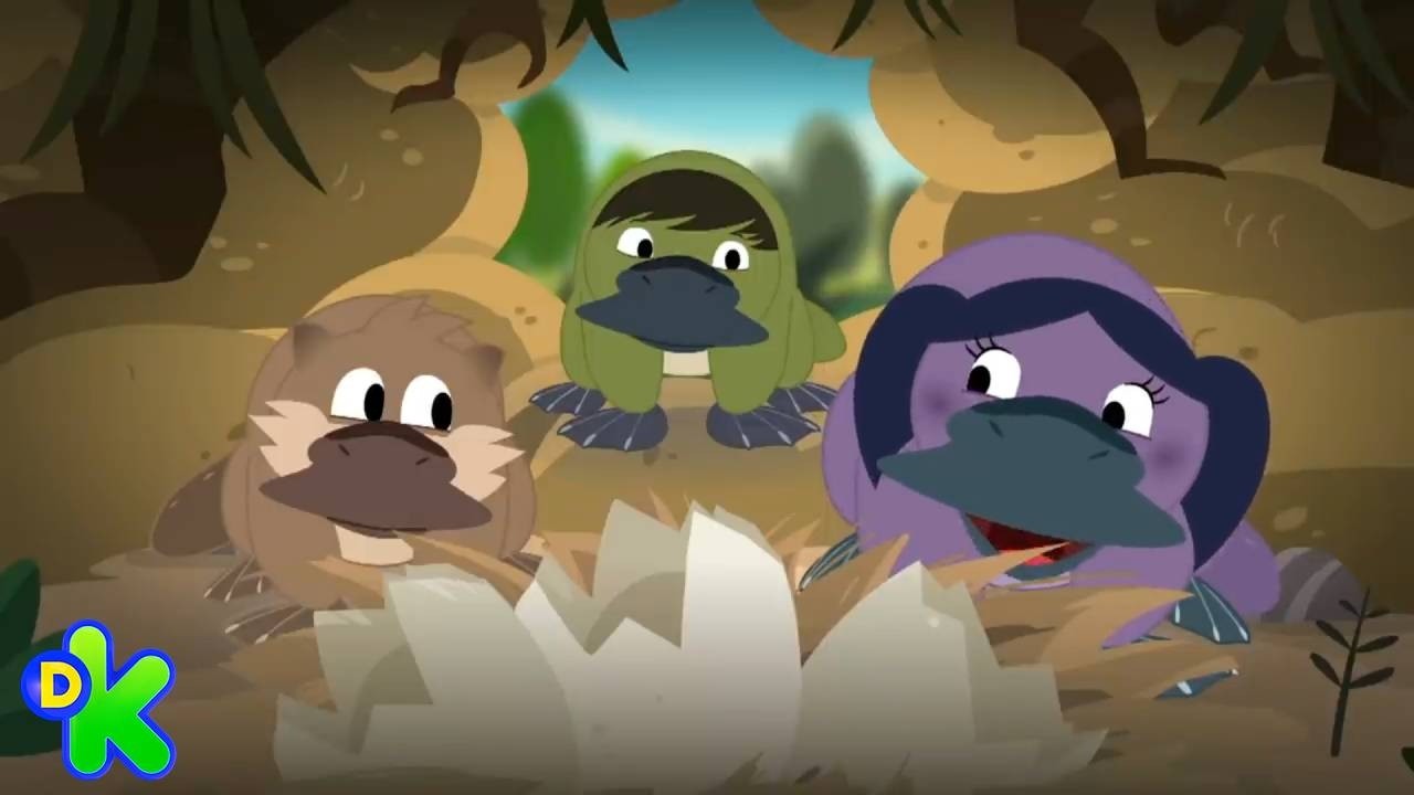 Descobrindo o mundo com a curiosidade da Luna | O Show da Luna | Discovery Kids Brasil