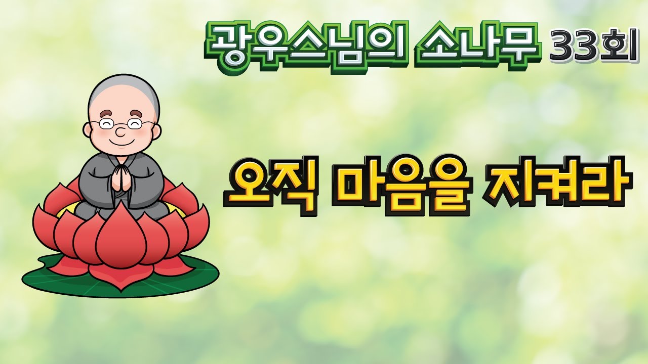 오직 마음을 지켜라 | 광우스님의 소나무 33회