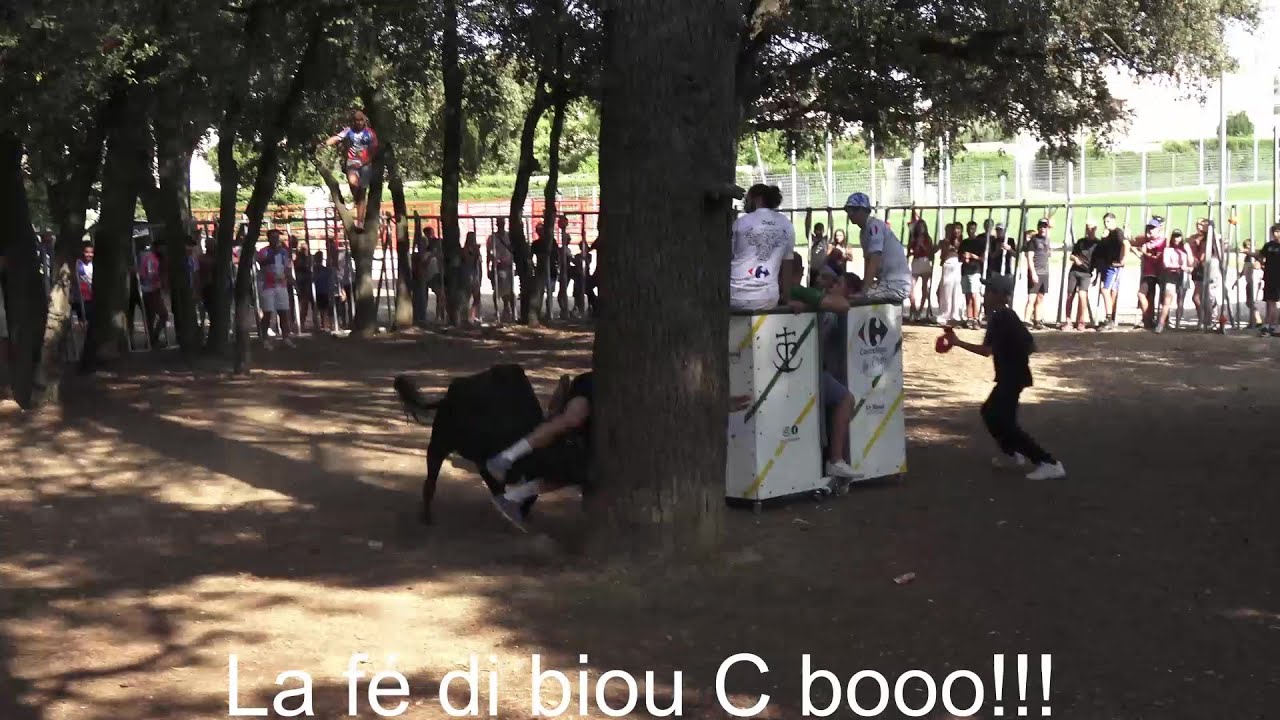 Le Crès ▶Taureaux au plan & Bandido◀ 20.08.2024