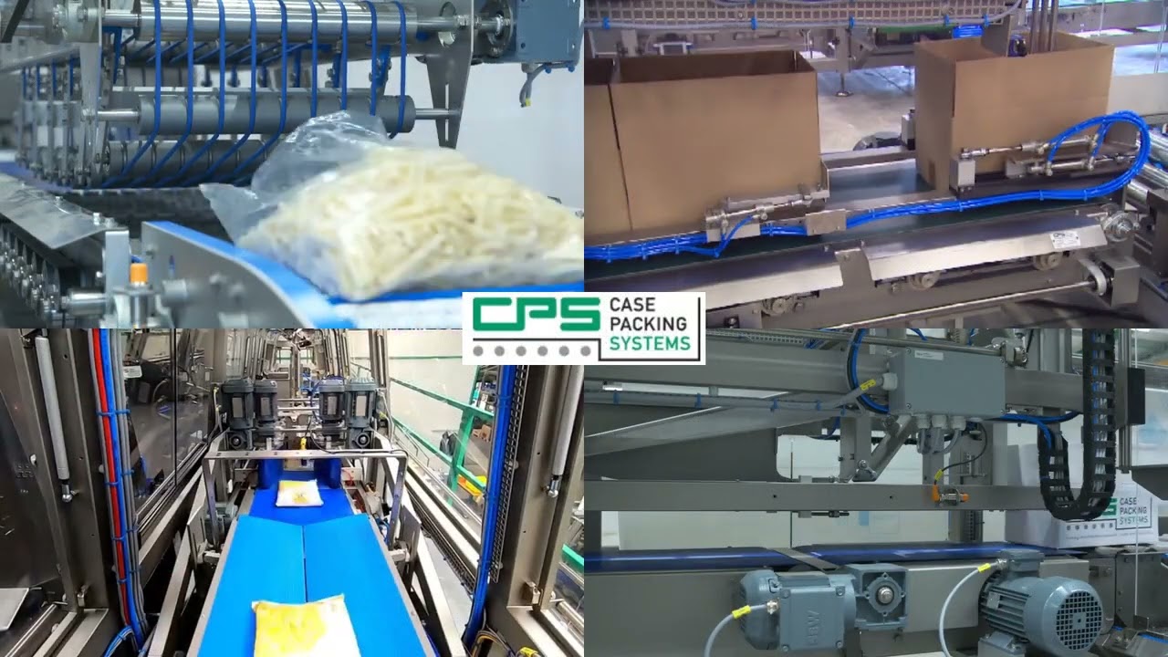 CPS Case Packing Systems - Gravity case packer CP201
