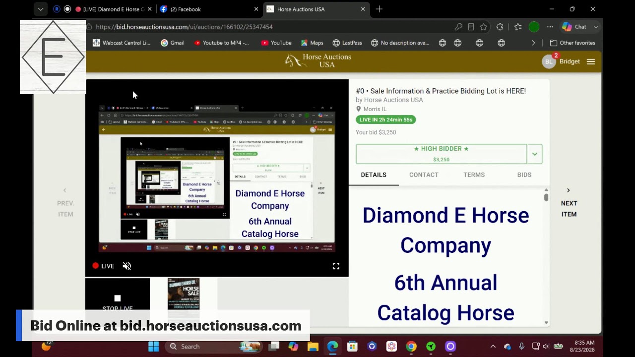 Diamond E Horse Company &mdash; Моррис, Иллинойс