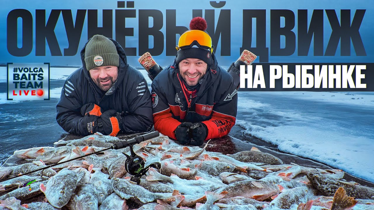 ЖОР ОКУНЕЙ НЕ ОСТАНОВИТЬ | НАШЛИ окуневое Эльдорадо на РЫБИНКЕ