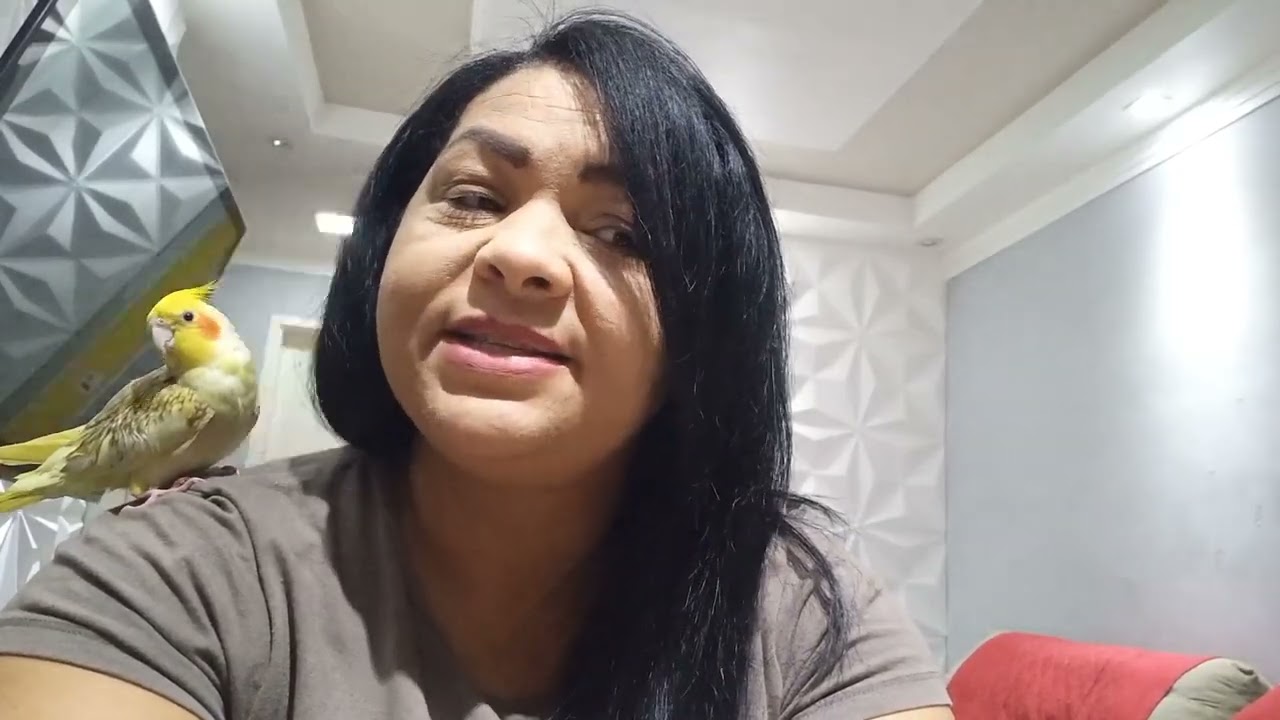 Sorteio do pix de 50,00 vlog de tapetaode sala